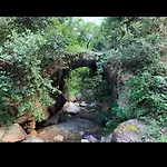 Stellaria In Montagna Panorama Stupendo Sardegna Seùlo