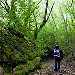 Lägenhet Stellaria In Montagna Panorama Stupendo Sardegna *
