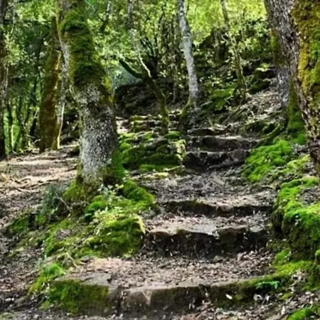 Appartamento New!stellaria,appartamento In Montagna Panorama Stupendo-sardegna) Seùlo