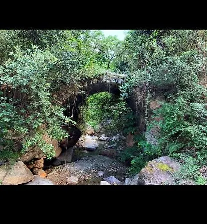 Stellaria In Montagna Panorama Stupendo Sardegna Seùlo