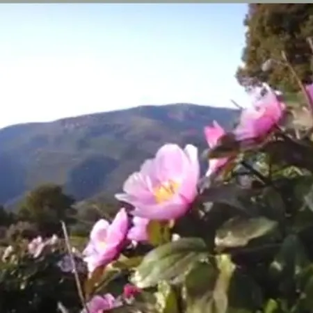 Stellaria In Montagna Panorama Stupendo Sardegna Daire