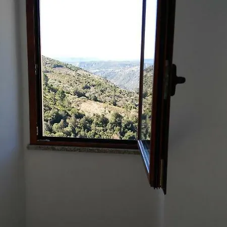 Stellaria In Montagna Panorama Stupendo Sardegna *