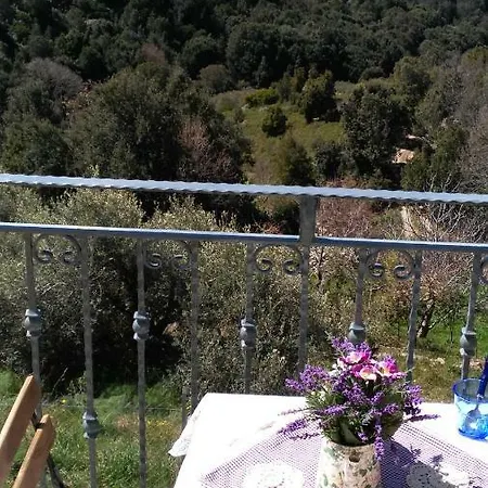 Stellaria In Montagna Panorama Stupendo Sardegna