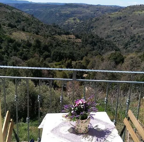 Stellaria In Montagna Panorama Stupendo Sardegna 公寓 Seùlo